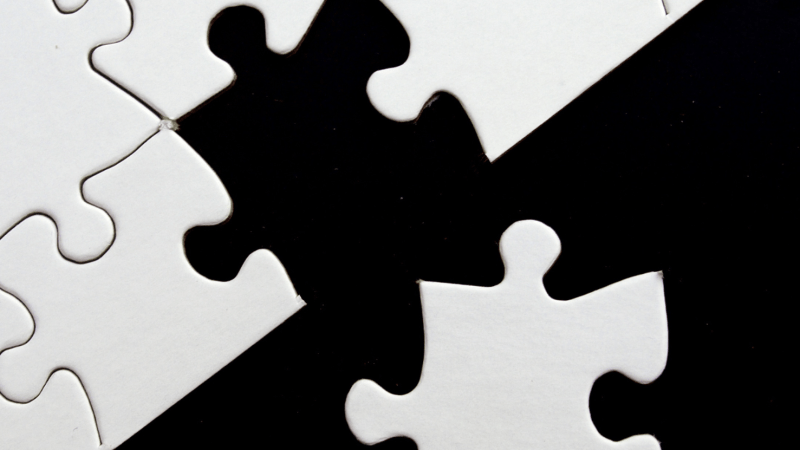 Why Is It So Difficult for a Fashion Brand to Go Vegan?