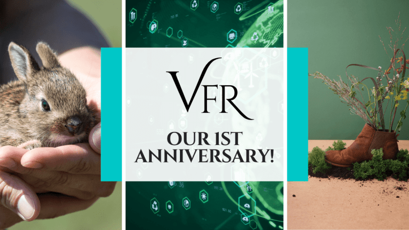 Vegan Fashion Repository Celebrates Its Very First Anniversary!