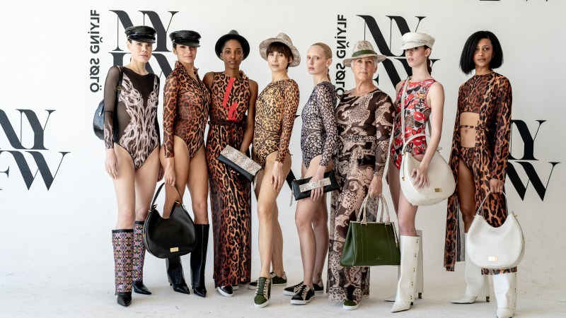 Passion and Perseverance — The Story of Anne Schollenberger