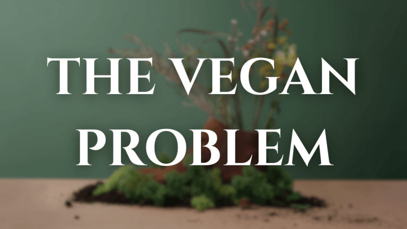 The Vegan Problem: Veganwashing, Aka When ‘Vegan’ Doesn’t Mean Vegan At All