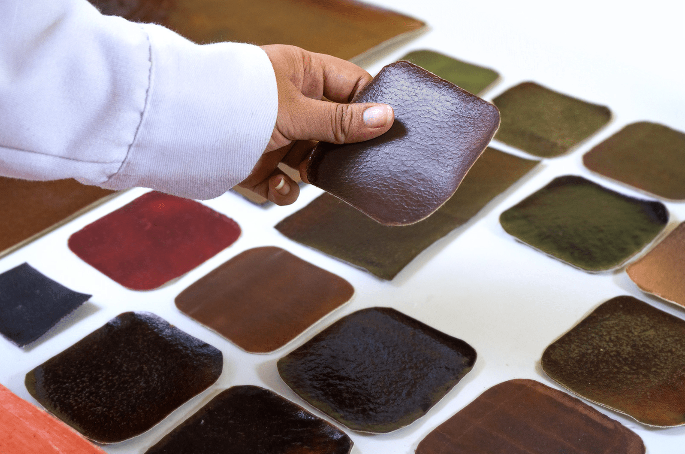 Shiringa bio-leather