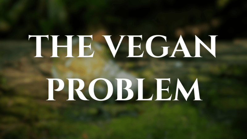 The Vegan Problem: Why Vegan Fashion Brands Are Closing — or Quietly Abandoning Vegan Materials