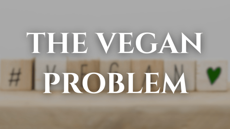 The Vegan Problem: Which Vegan Fashion Certifications Can You Actually Trust?